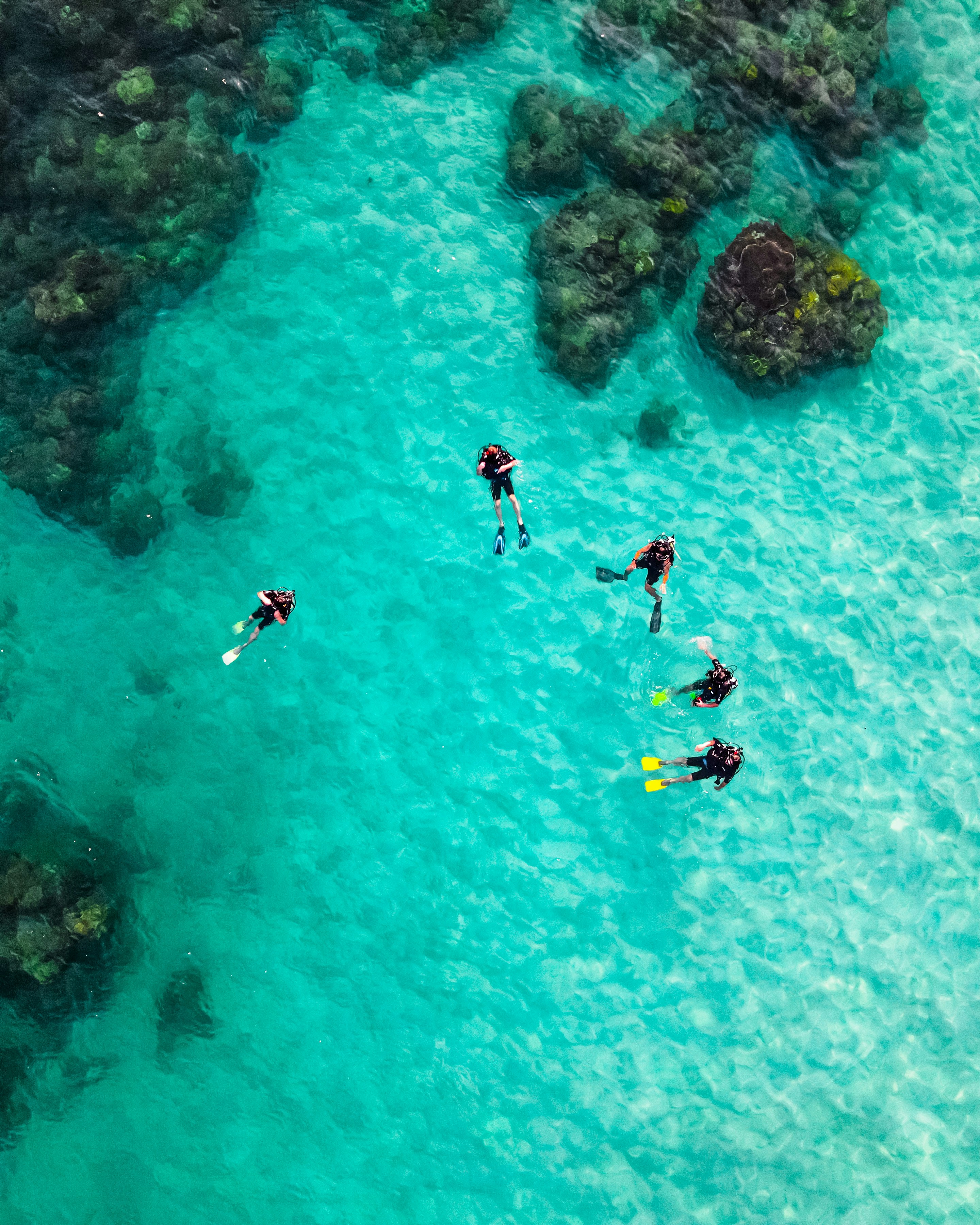 Andaman Paradise Getaway - 07 Days 4