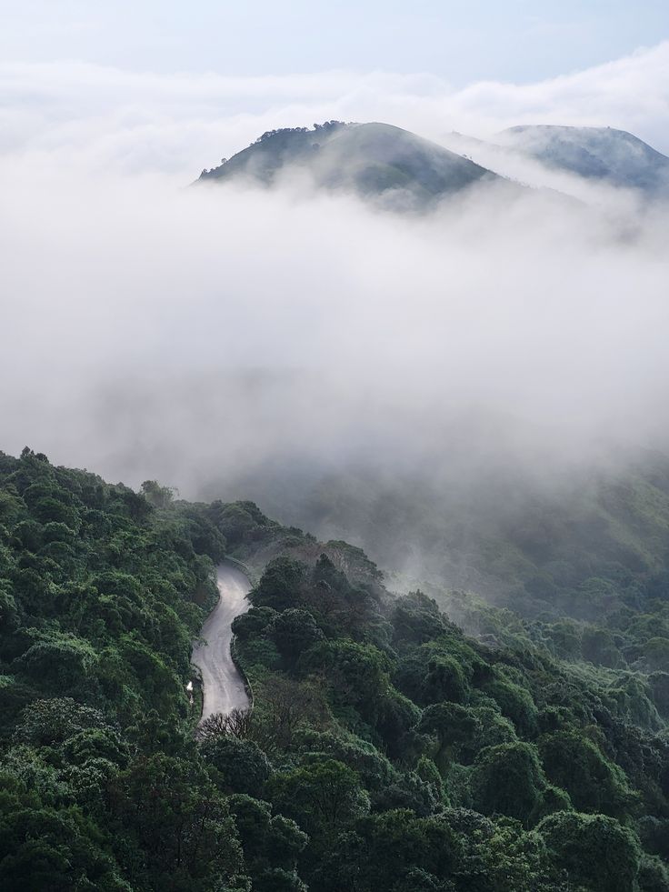 Coffee & Nature Trail – Karnataka & Kerala - 07 Days 2