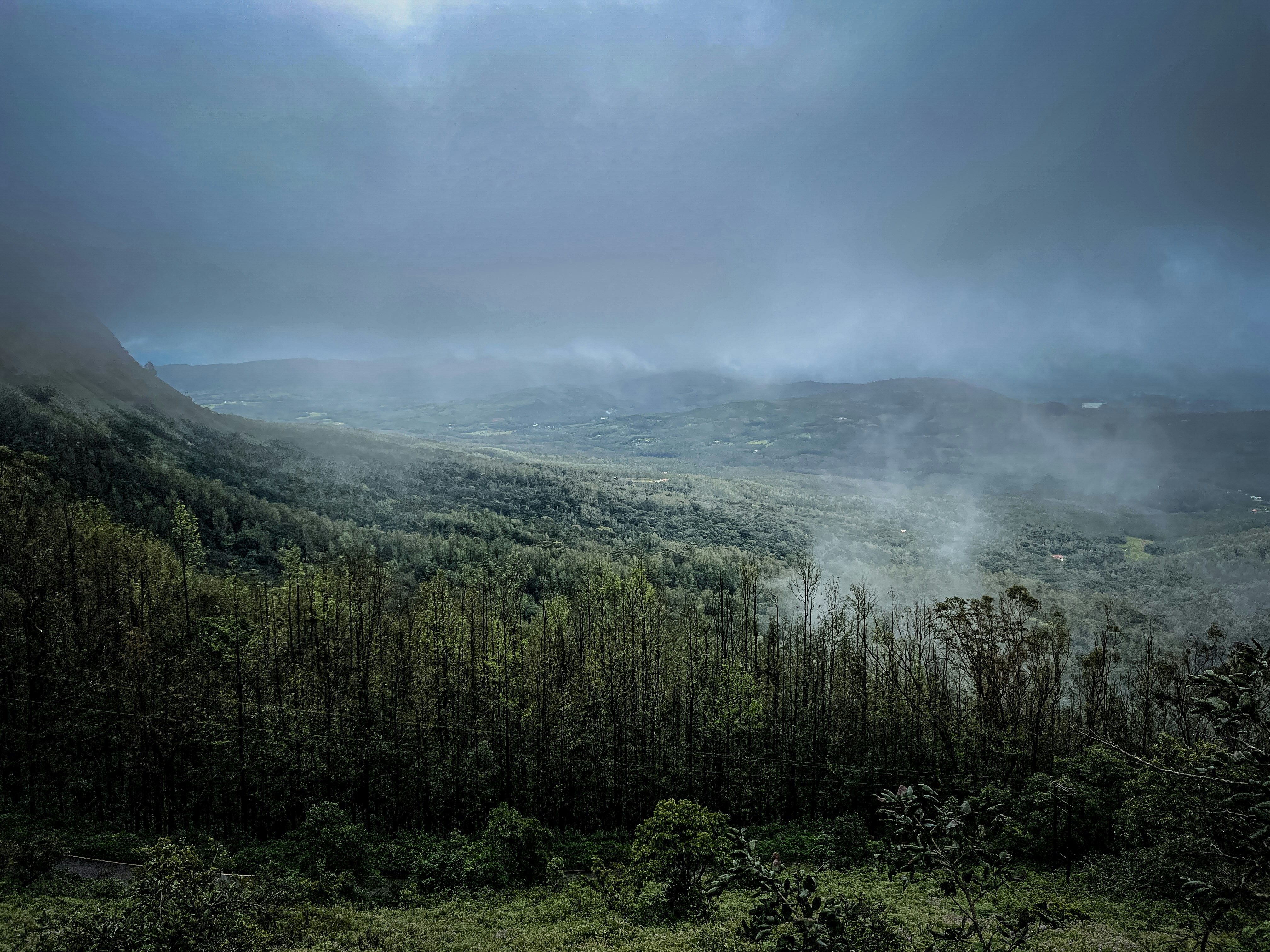 Coffee & Nature Trail – Karnataka & Kerala - 07 Days 3