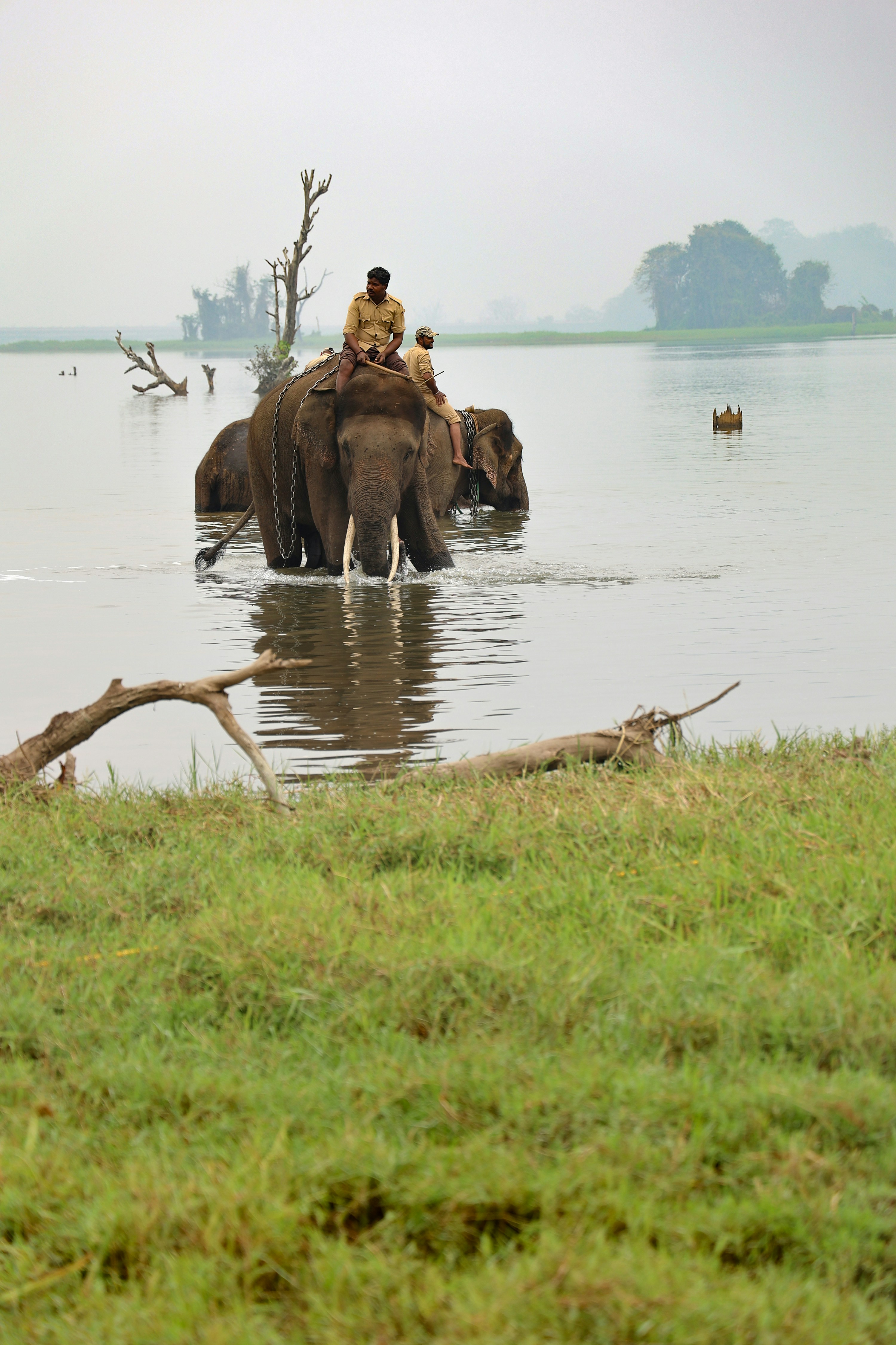 Coffee & Nature Trail – Karnataka & Kerala - 07 Days 4